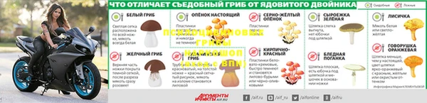 амфетамин Белокуриха