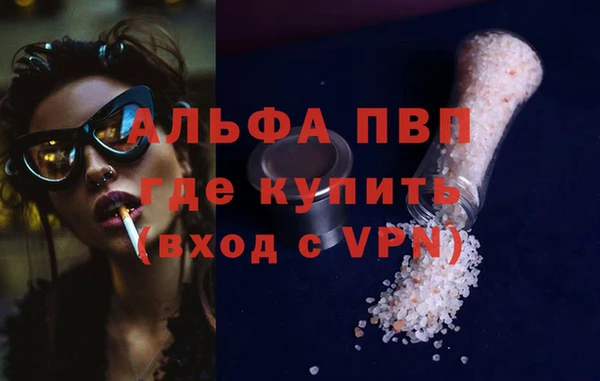 гидра Новозыбков