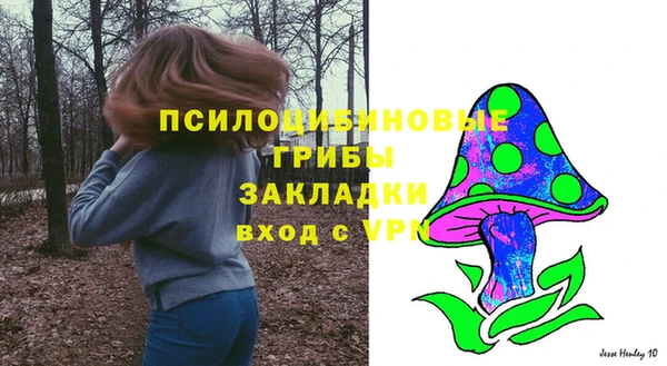 амфетамин Белокуриха