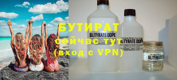шишки Новодвинск
