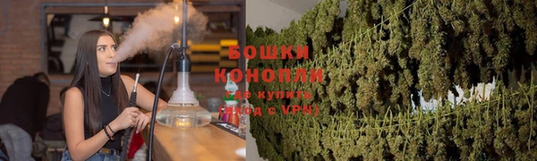 прущие крисы Беломорск