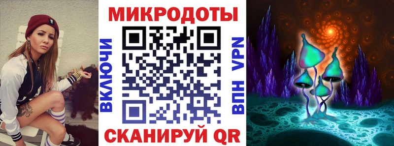 где продают   Пионерский  Галлюциногенные грибы Cubensis 