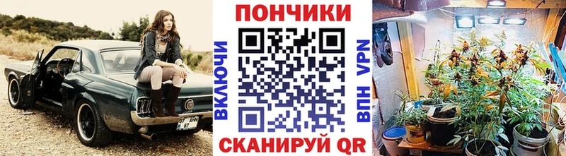 ссылка на мегу ТОР  Пионерский  Каннабис сатива 